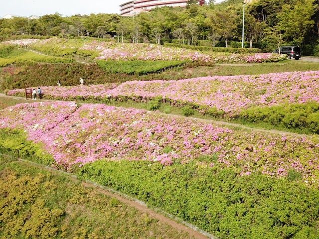 Shonan Kokusai Mura Green Park